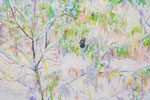 雪　森  oil on canvas   500×652mm