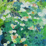 十日の菊  oil on canvas  652×652mm