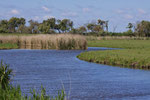 Oostvaardersplassen