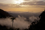 Eungella NP