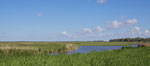 Oostvaardersplassen