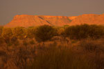 Watarrka NP (Kings Canyon)