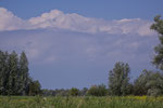 Oostvaardersplassen