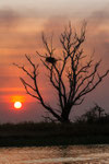 Kakadu NP