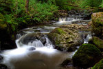 Wasserfall I