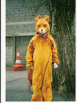 Renard 10 ans