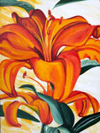 "lelies" 60 x 80 op paneel