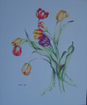 "tulpen I"   50 x 65 verkocht