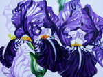 2002 "Irissen", acrylverf op paneel 60 x 80 cm. 