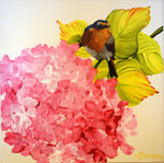 2014 "Roodborstje op hortensia", acrylverf op doek 30 x 30 cm.