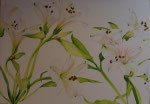 2009 "Witte alstroemeria", acrylverf op linnen 70 x 100 cm.