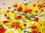 2012 "Symbiose II", 60 x 80 cm. acrylverf op paneel