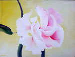 2002 "Hibiscus", 60 x 80 op paneel