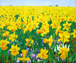 "Narcissen", acrylverf op paneel 50 x 60 cm.