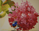 2014 "Hortensia met blauwborst." Acrylverf op doek 20 x 30 cm.   