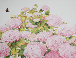 2015 "Merels in de hortensia" Acrylverf op linnen 60 x 80 cm. 