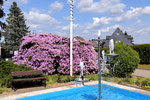 Bild: Wünschendorf Erzgebirge Springbrunnen 2026