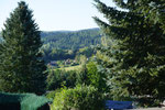 Bild: Wünschendorf Erzgebirge Kleingarten