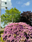Bild: Wünschendorf Erzgebirge Springbrunnen 2026