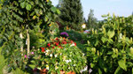 Bild: Wünschendorf Erzgebirge Kleingarten