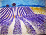 Lavendel, Ölkreide