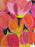 Tulpen, Ölkreide