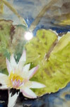Aquarell - Wilhelma