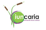 Iuncaria