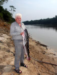 Rio Tefé-Reise 2010: Diese großen Spatelwelse leben überwiegend im Hauptfluss