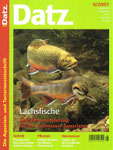 Ros, Christopher & Ros, Wolfgang (2007): Cephalosilurus apurensis - Ein gefräßiger Lauerräuber, aber nicht ohne Charme, D. Aqu. u. Terr. Z. (Datz) 60 (5): 38-42.