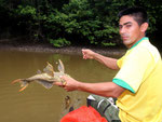 Rio Tefé-Reise 2010: Hier wieder Eduardo. Er ist heute mein bester Freund und Fahrer beim Fischfang 50 km in der Umgebung von Santa Cruz.