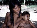 In diesem Mayoruna-Dorf grassierte 1995 die Malaria, bei unserem letzten Besuch im Jahr 1999 fanden wir nur mehr 4 von 16 der älteren Indios mit Gesichtstätowierung.