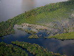 Im August ist am Rio Negro Hochwasser, die Wälder sind überschwemmt.