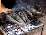 Rio Tefé-Reise 2010: Am Markt in Tefé werden täglich Welse am Grill gebraten, für Aquarianer ein makaberer Anblick.