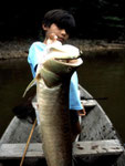 Eduardo mit einem Arowana / Gabelbart (Osteoglossum bicirrhosum) 1993.