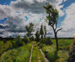 Rieselfelder Karolinenhöhe/ Öl auf Leinwand/ Juli 2021/ 60x50 cm
