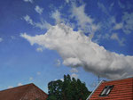Sommerwolke über unserer Straße, windig/ 40x30 cm/ Öl auf Holz/ Juni 2025
