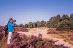 In de vroege ochtend aan het fotograferen in de Ossendrechtse Duinen.