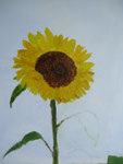09-05 Met dit warme weer, eerst maar een zonnebloem.....