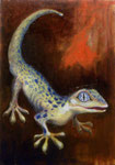 BluepointsBananaGecko