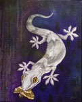 gekko japonicus　（個人蔵）