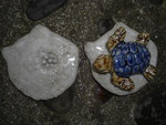 海亀の卵(屋久島の形)　￥６００－
