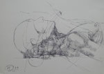 Mirian Gomeli - Le dernier portrait - Encre originale - 2009 - 29,5 x 20 cm 