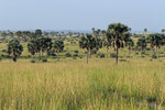 Queen Elizahbeth Nationalpark, Uganda