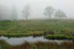 Hohes Venn, Belgien