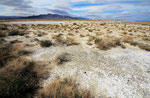 Landschaft im Amargosa Valley, Kalifornien