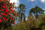 Bumthang