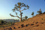 Landschaft bei Bahir Dar