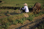 Mekong-Delta, Vietnam