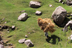 Wakhan-Korridor, Afghanistan